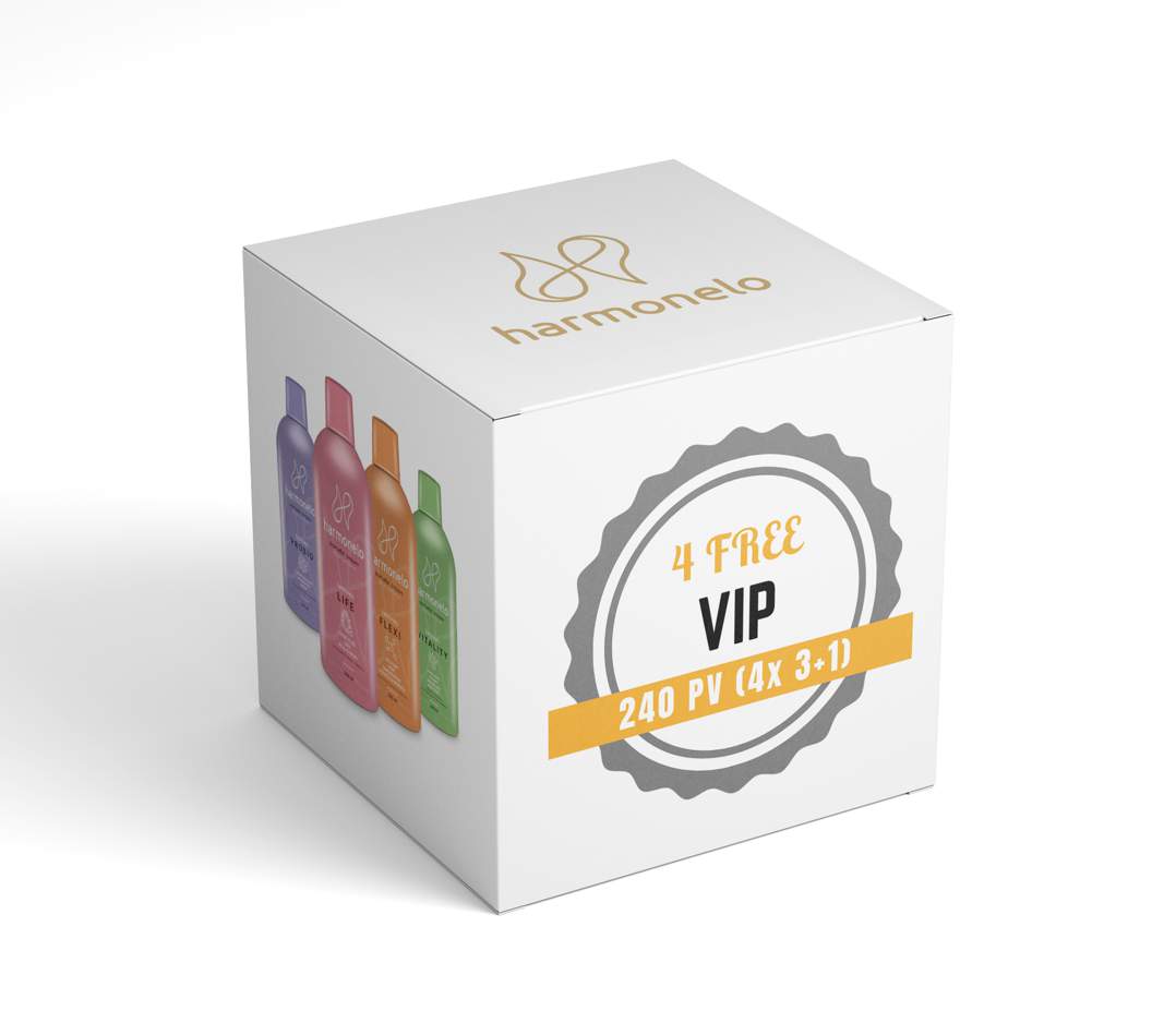 Affordable package VIP 240